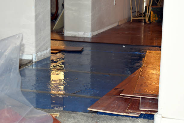 Professional Basement Flood Cleanup technician working in Linwood, NC